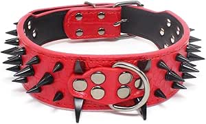 I Tested And Ranked The Best Pink Spiked Dog Collars In 2024: And Here's What I Found - Foto 10