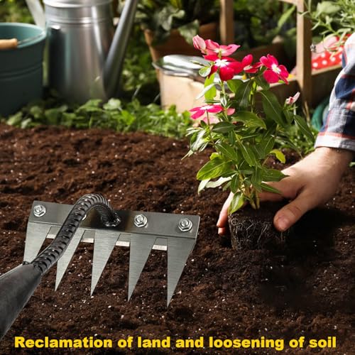 Rastrillo de Hierro para Jardín Heavy-Duty con 5 Dientes miniatura 6