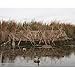 Beavertail 1600 Series Blind (Karma Wetlands)
