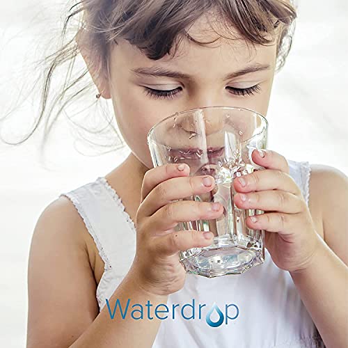 Waterdrop WD-PF-01A-3 Wd-Pf-01A Plus Replacement Filters For All Waterdrop Pitcher Filtration System thumb #8