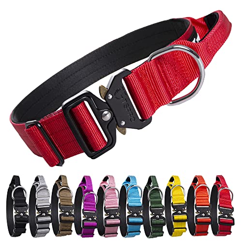 Best Dog Collars With Handle Keep Your Pet Close And Secure