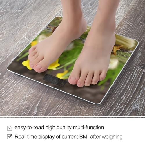 Báscula Digital Cute Ducks para Baño 400 lb miniatura 5