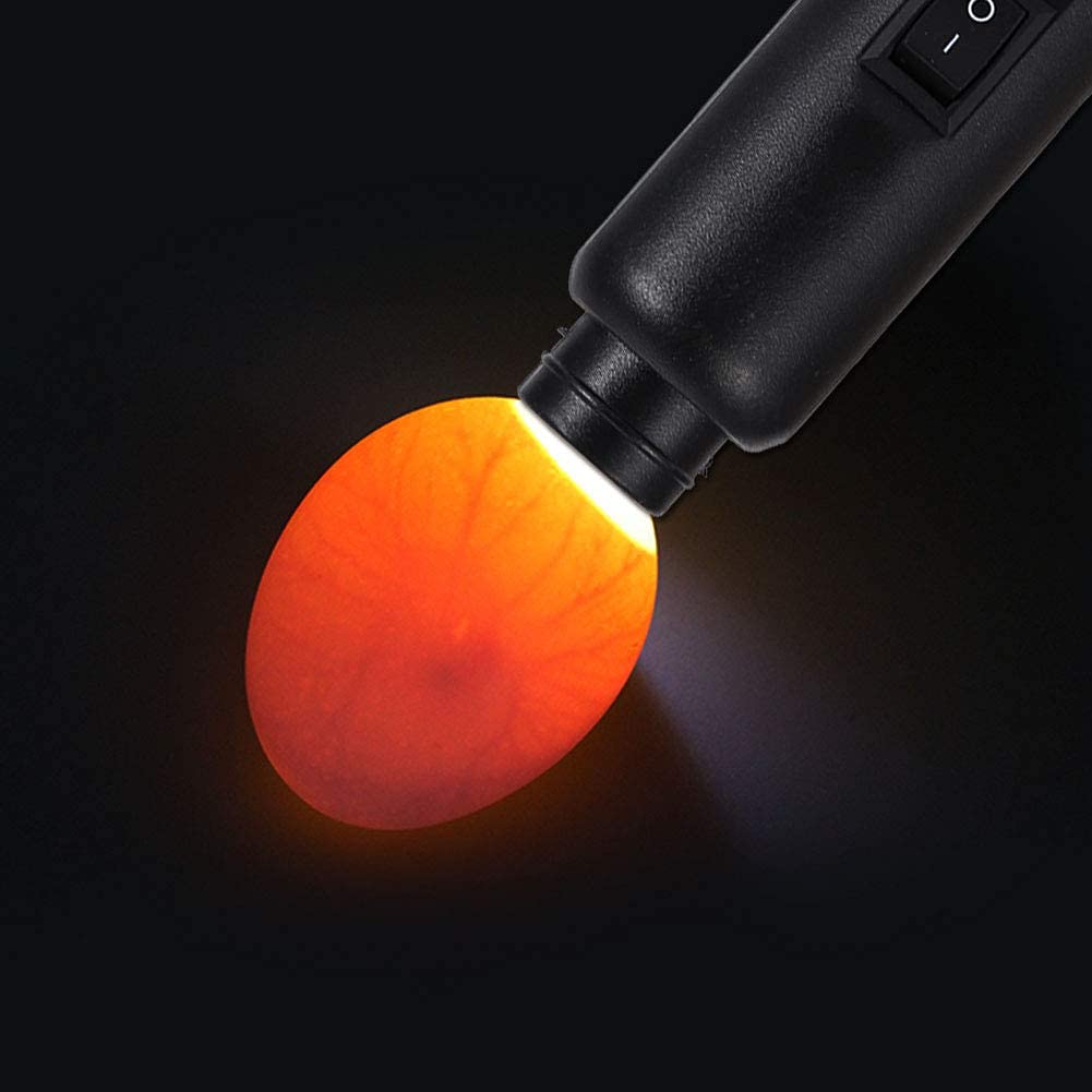Lampe pour œufs de poule, lampe à dessert pour œufs de poule, lampe à œufs Candler, lampe LED de refroidissement haute intensité, double puissance, testeur d'œufs, lampe à incubation, testeur d'œuf.