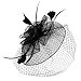 Zando 2025 Kentucky Fascinators Derby Hats for Women 20s 50s Birdcage Veil Feather Flower Mesh Tea Party Hat with Hair Clip and Headband for Cocktail Wedding Festival Fancy Dress Headwear Black