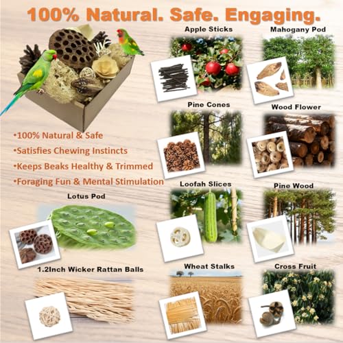 Bird Toys - Lotus Pod Foraging Box, 10 Natural Ingredients | Chewing and Shredding Parrot Toys | Ideal for Parakeets/Cockatiels/Conures/Lovebirds and Small to Medium Birds - Image 3