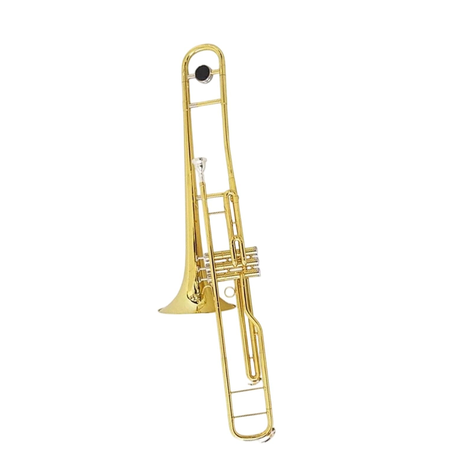 La Transposición De Bajo Del Trombón En Sol Bemol/re Es Adecuada Para Que Los Principiantes Toquen El Instrumento(9)