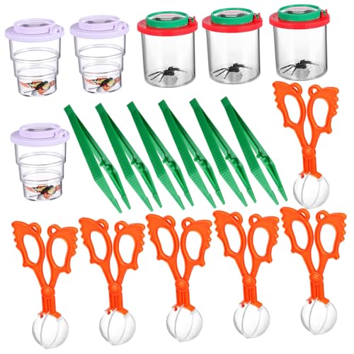 Kit d'exploration insectes : boîte d'observation pour enfants contre l'addiction aux écrans