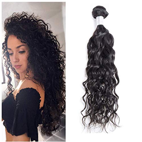 Fengde Hair 8A Brazilian Water Wave Virgin Hair One Bundle 100% Unprocessed Human Hair Extensions(10)