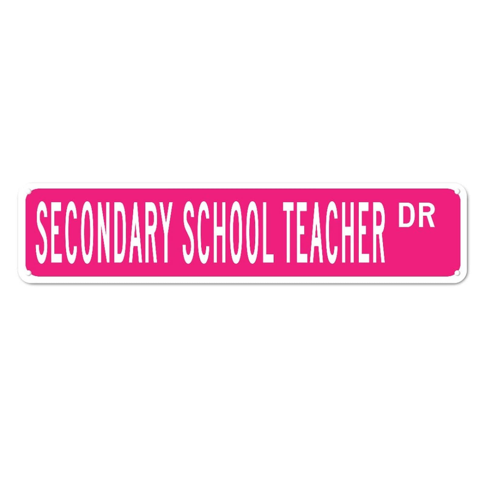 Secondary School Teacher DR Retro Tin Signs Plaque Aluminum Metal Sign Quotes Home Kitchen Garden Wall Funny Pub Club Porch Decoration 4x16 Inch