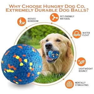 Hungry dog co   super durable premium dog balls  pet safe dog toys for fun and play Very bouncy and durable  great for aggressive chewers  stimulating colors and patterns  1 blue wyellow 2 5 ball   cucciolini doodles