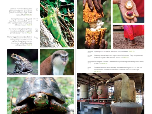 Grenada: Carriacou & Petite Martinique (The Bradt Grenada Essentials) #TOP4