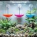 6-Pack Reptile Terrarium Decorations - Umbrella Shaped Frog Habitats with Suction Cups, Creative Climbing Platform & Feeding Dish for Tree Frog, Toad, Tadpole, Aquatic Pets