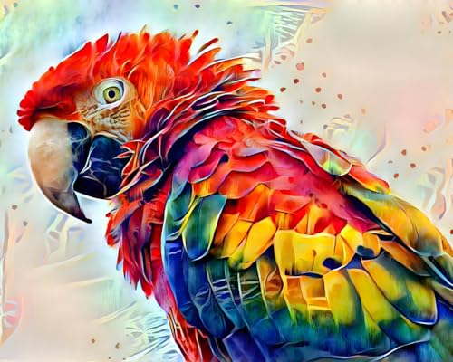 Toile murale oiseaux colorés pour illuminer un mur sombre sans cadre