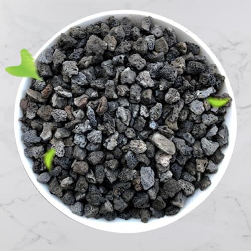 11 Pounds Black Lava Rocks, 5-8 mm Lava Rocks for Plants Bonsai, Rocks Horticultural Grit Soil Cover Gravel for Succulents and Hydroponics, Fairy Gardening, Top Dressing, Plant Drainage