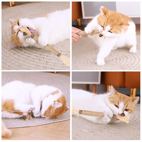 OSDUE Katzenminze Sticks, 21 Stück Matatabi Kausticks mit Ball Katzenminze Spielzeug Katzen Kauhölzer Sticks für Katzen Zahnpflege & Gegen Mundgeruch Natürlich Sicher Katzensticks Kausticks Set