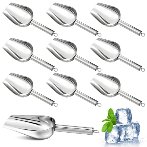 10 Pcs Stainless Steel Ice Scooper, 6 oz Premium Ice
