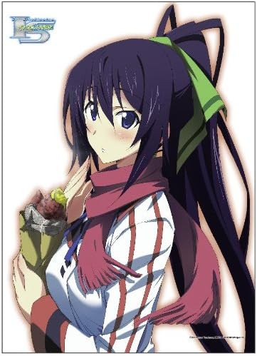 高価値 Is インフィニット ストラトス タペストリー 篠ノ之箒 アニメグッズ Www Petromindo Com