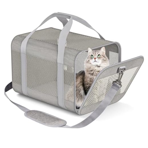 Prodigen Pet Carrier Airline Approved Pet Carrier Dog Carriers for Small Dogs, Cat Carriers for Medium Cats Small Cats, Small Pet Carrier Small Dog Carrier Airline Approved Cat Pet Travel Carrier-Gray