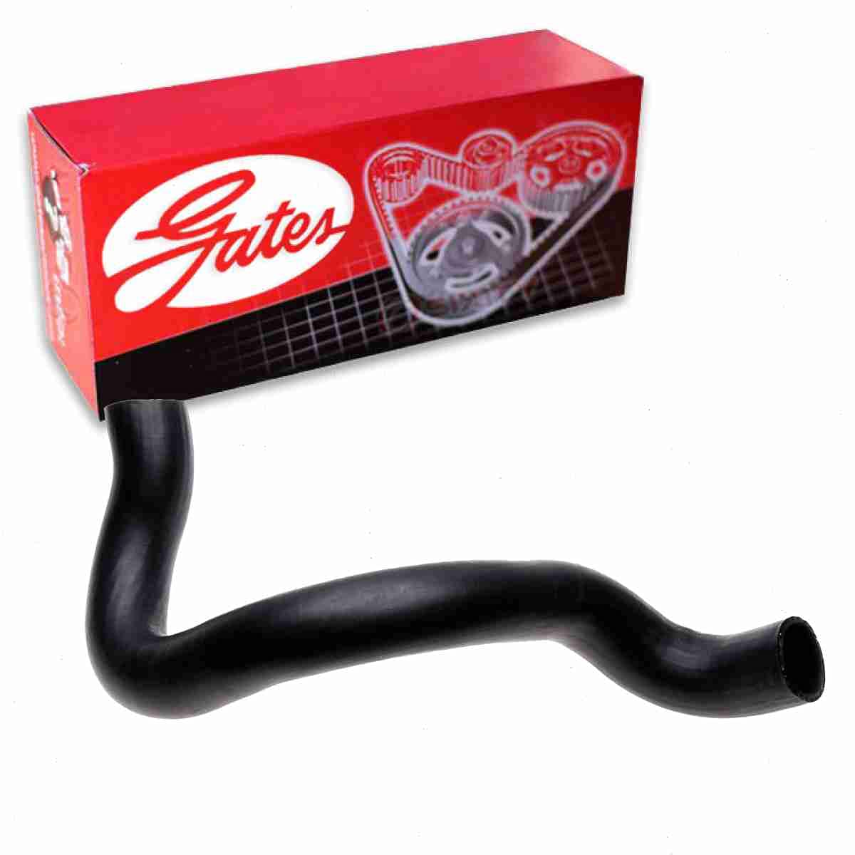 SAJ-1280Z ハカランダ Amazon.com: Gates Lower Radiator Coolant Hose compatible