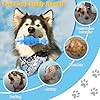 WinTour Tough Dog Toys for Aggressive Chewers, Indestructible Dog Chewers for Medium & Large Breeds, Squeaky Durable Chew Toys to Keep Them Busy, Reduce Boredom, Teeth Cleaning, Bacon Flavor #1