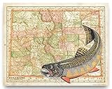 Apple Creek Colorado State Map Brook Trout Unlimited Fly Fishing Art Print 11x14 Rainbow Brown Cabin Decor Pictures