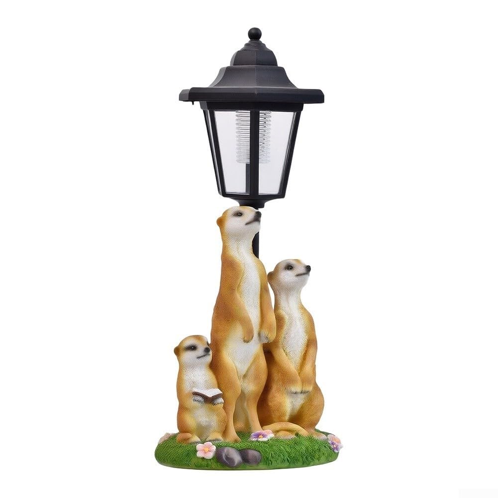 Fauhapyway Statua di suricato a energia solare, 24 cm, luce LED