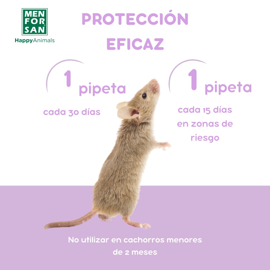 MENFORSAN Pipetas Anti-Insectos para roedores, Conejos y Hurones, con Margosa, geraniol y lavandino - Blister con 2 Unidades — view 5