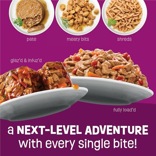 Purina Friskies Fully Load'd Wet Cat Food, Salmon, 24 Count, 5.5 oz - image 9