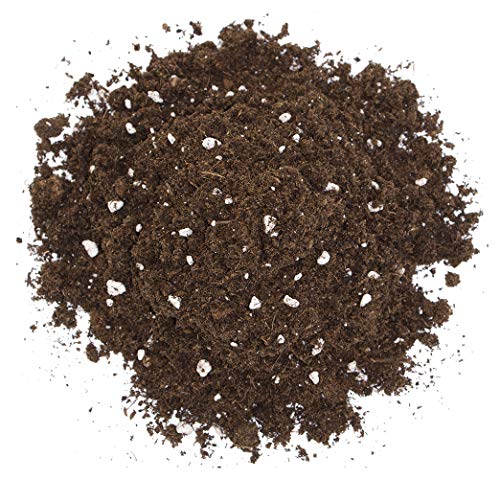 Floragard Spezialerde für fleischfressende Pflanzen 2x3L - Carnivorenerde