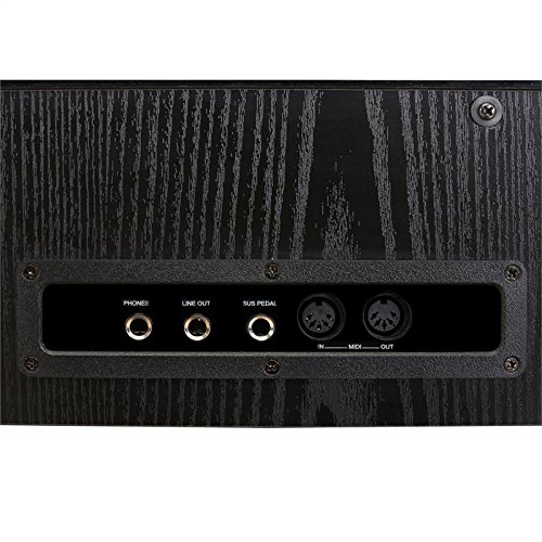 Schubert Carnegy-61 - piano eléctrico, teclado, 61 teclas, sensibilidad a la rapidez, 100 ritmos, 136 instrumentos, 8 pistas demo, altavoces, salida de línea, MIDI, función dual, negro