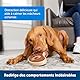 PetSafe Busy Buddy Kauringe aus Rohhaut für Hunde, Für Snackring-Spielzeuge von PetSafe geeignet, Größe A, 16 Stück
