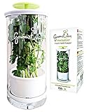 Glass Herb Keeper - Anti-leakage fresh herb container - Free paleo recipe eBook - Herb storage holder keeps herbs fresh and green for up to 2 Weeks