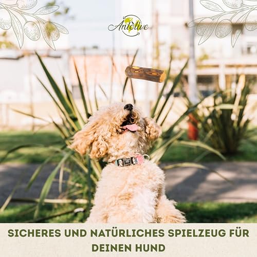 Anlolive | Pack 3 Natürliche Kausticks Größe S 15 cm | Für Kleine Hunde | Olivenholz-Stick | Sicheres, Gesundes und Langlebiges Spielzeug | Pflegt die Zähne, Reduziert Angst und Stärkt den Kiefer