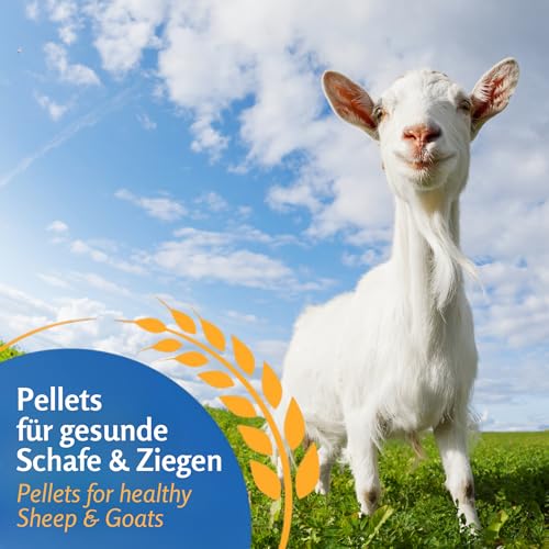 Leimüller Schaffutter & Ziegenfutter Pellets 25 kg - Futter für Schafe, Ziegen und Lämmer – Beliebtes Schafsfutter & Ziegen Futter - 100% gentechnikfrei und mehrfach gereinigt