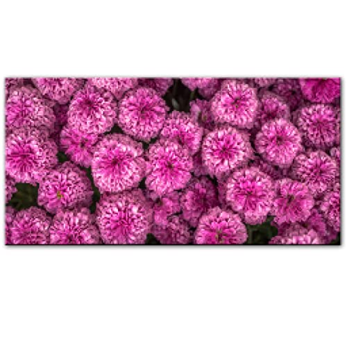 Toile art fleurs rose chrysanthème moderne 40x80cm