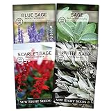 Sow Right Seeds - Sage Seed Collection - Salvia Seeds for Planting Indoors & Outdoors - Common, Blue, Scarlet & White - Non-GMO Heirloom Varieties - Grow Aromatic Herb Garden - Herbal or Culinary Use