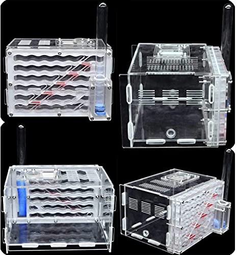 TYSJL Mierenboerderij, miernestformicarium om live mierenhabitat te observeren, transparante acryl mierbehuizing nestdoos, mieren huis voor het voeden van mieren (Color : -, Size : -) - Afbeelding 4