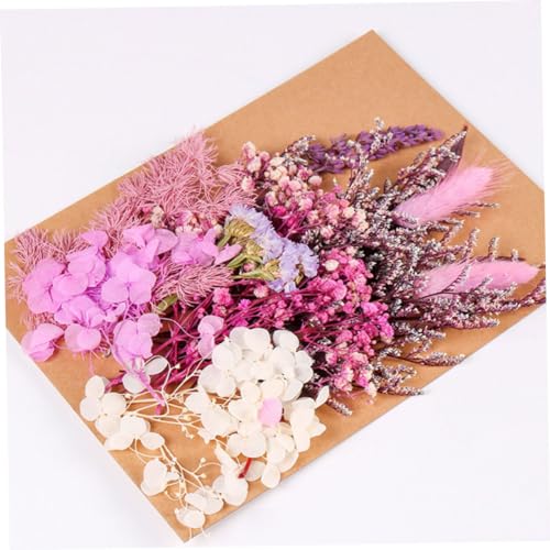 Flores secas para manualidades ORFOFE 1 bolsa miniatura 2
