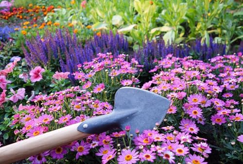 Tierra Garden DeWit Perennial Planter miniatura 4