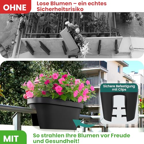 Stilvolle Geländer Blumenkasten Aldi Ebenbild
