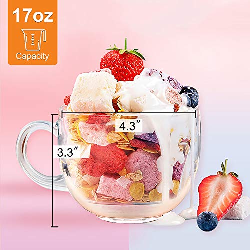 DeeCoo Large Glass Coffee Mugs, Wide Mouth Mugs for Soup, Cappuccino, Coffee, Latte, Cereal, Ice Cream, Etc, Set of 4, 17 oz, Dishwasher and Microwave Safe (Premium Tempered Glass)