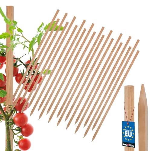 KOTARBAU® - Juego de 20 estacas para tomates y plantas (60 cm, postes de madera afilada), soporte para plantas, soporte de valla, tutores de plantas de madera para estabilizar las plantas