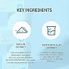 The Skin House Perfect Pore Tightening Clay Pack 100ml (3.38 fl.oz) Minimize Blackheads, Pore purifying clay mask for face, Deep clean pores, Remove excess oil, Pore minimizer, Korean Skin care