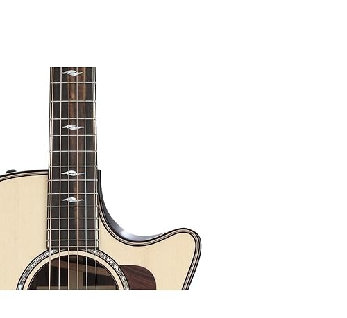 Amazon.com: Taylor 814ce Builder's Edition Acoustic-electric
