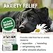 HomeoPet Anxiety Relief Medicine for Pets, Natural Anxiety Relief for Dogs and Cats, Cat and Dog Calming Medicine, 15 Milliliters