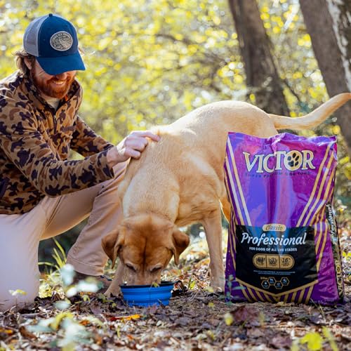 Image of VICTOR Professional Dry Dog Food - Gluten-Free Active Dog Kibble, 5 lb