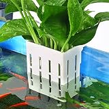 Upgraded Aquarium Hanging Aquatic Plant Holder with Hooks and Suction Cups for Fish Tank Aquaponic P
