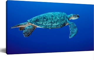 TOOUTEREA 20x40 Frame Large Canvas Painting Wall Art Green Turtle Wall Decor for Living Room Bedroom Kitchen Bathroom Office Artwork Home Decor