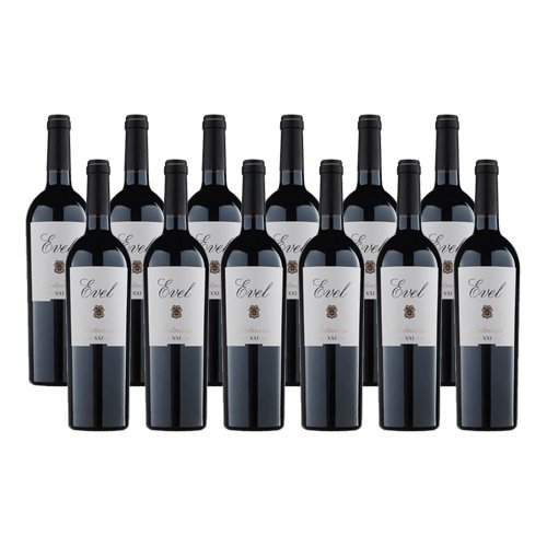 Compra Evel XXI Vino Tinto – Paquete de 12 Botellas Premium Compra Evel XXI Vino Tinto – Paquete de 12 Botellas Premium