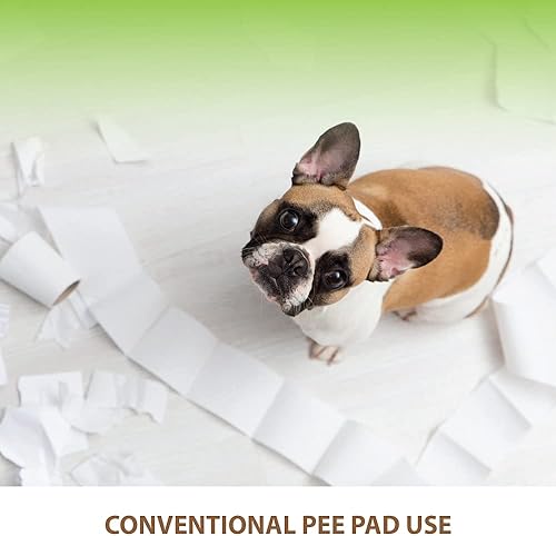 Miniatura 3 de BANU Bandeja de entrenamiento para orina de cachorros para perros en interiores y exteriores, 20 x 16 pulgadas para perros pequeños y medianos